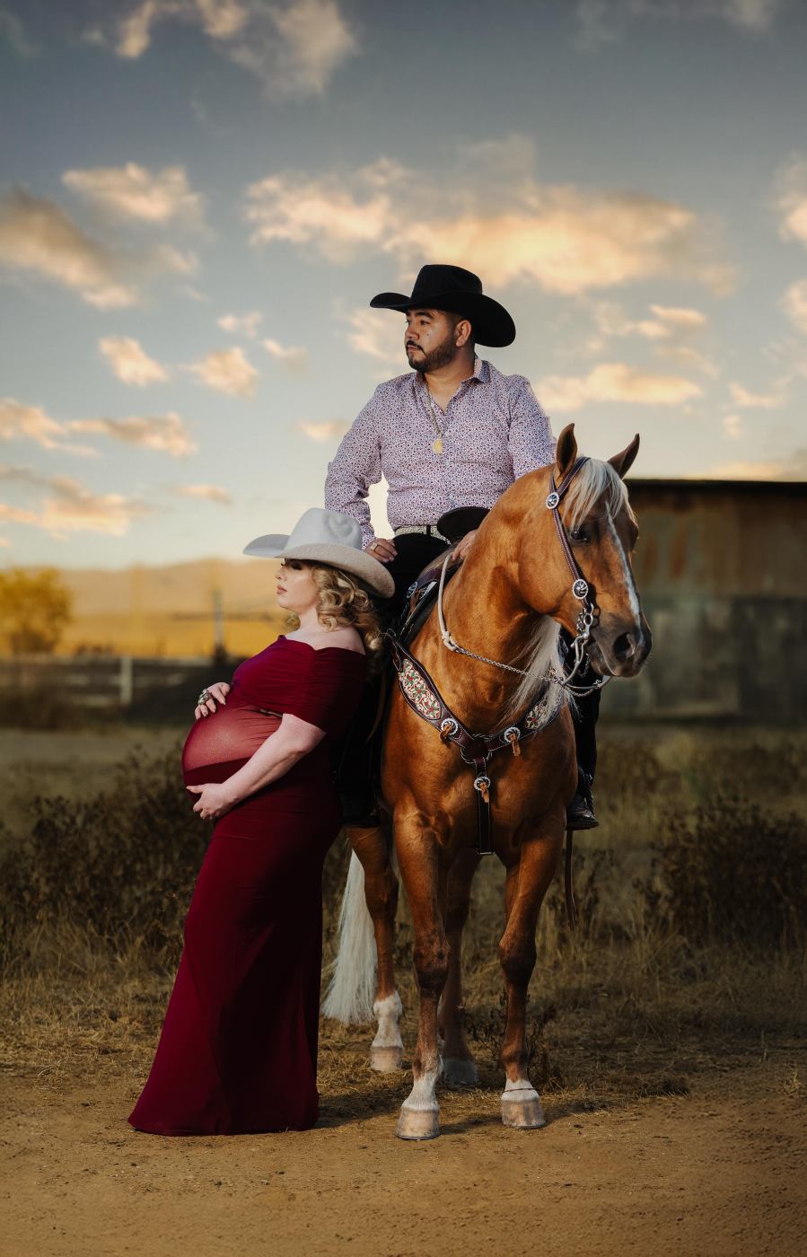 Maternity portrait with a horse at sunset